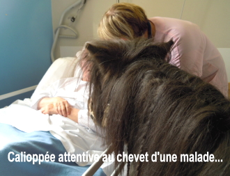 Caliopp&eacute;e au chevet...