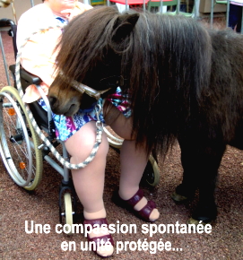 Quelle compassion !