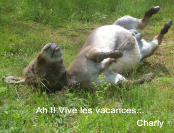 Vive les vacances !