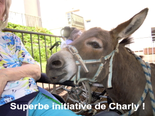 Quelle belle initiative !