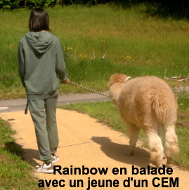 Rainbow en CEM