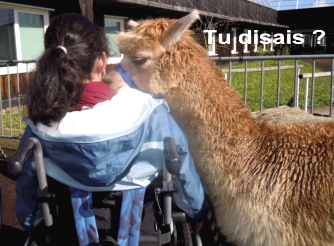 Rainbow en t&ecirc;te &agrave; t&ecirc;te