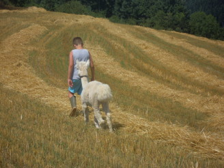 En saison estivale...