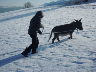 En saison hivernale...